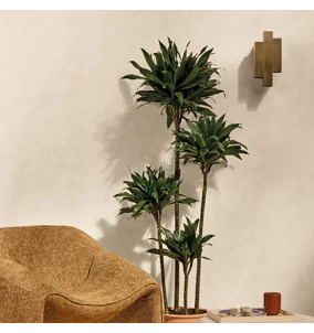 Caselio SYMPHONY FRAGMENTS